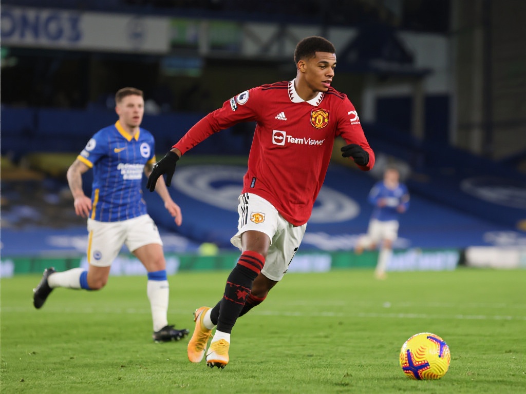 让每个人都 让每个人都